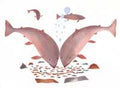 At the Spawning Ground