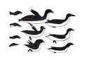 Flock of Birds