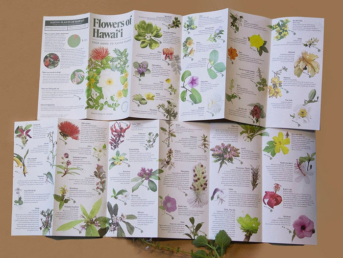 Flowers of Hawaiʻi Field Guide