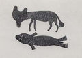 Fox and Seal
