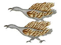 Frightful Birds