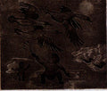 Hunting Ducks