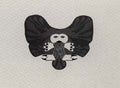 Imaginary Bird