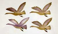 Migrating Birds