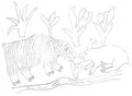 Muskox and Rabbit