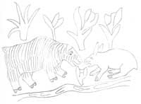 Muskox and Rabbit
