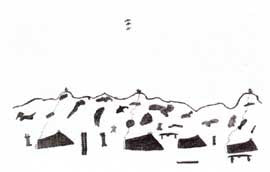 Observation Camp