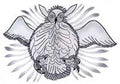 Owl Attacking Prey