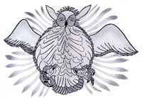 Owl Attacking Prey
