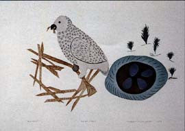 Owl Nest
