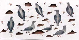 Ptarmigan in Spring