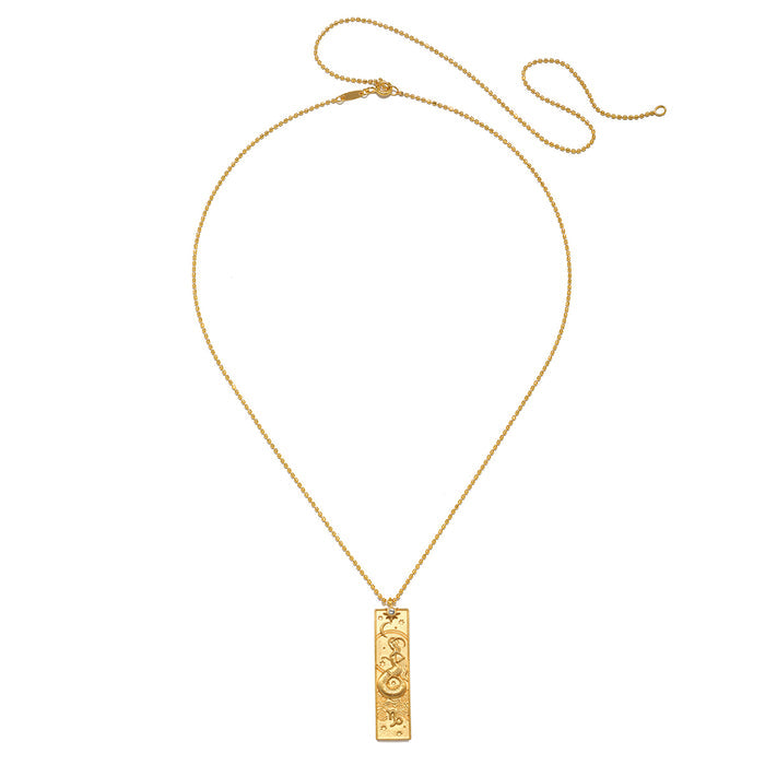 The Story of Capricorn Zodiac Necklace displayed on a delicate chain, designed as a spiritual talisman that brings awareness and meaning, perfect for manifestation and enlightenment.
