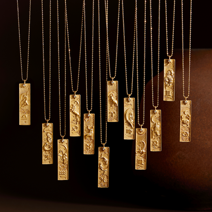 Various Story of Capricorn Zodiac Necklaces hanging beautifully, representing spiritual jewelry that resonates with the meanings of zodiac signs. These pieces are perfect for meditation, talismans for protection, and symbols of charm in yoga practices.