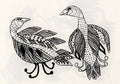 Two Decoys