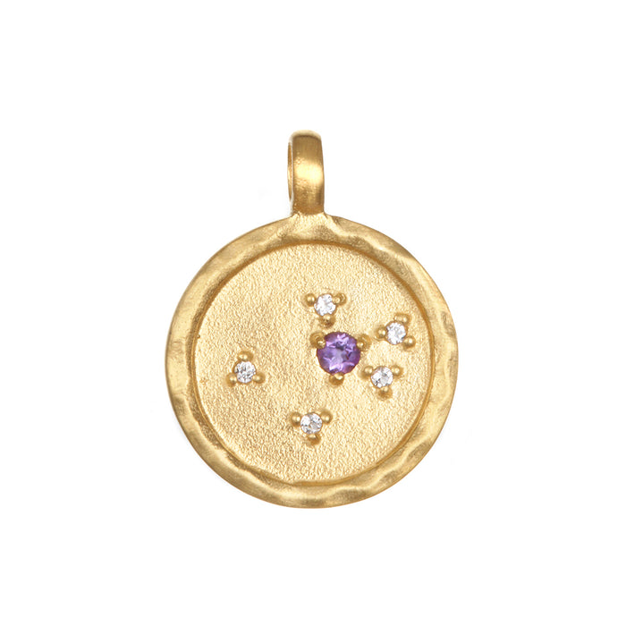 Zodiac Coin Charm featuring an amethyst gemstone, symbolizing spirituality and peace, a beautiful piece of spiritual jewelry perfect for meditation and manifestation.